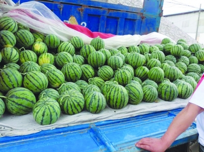 消暑降溫，永大機(jī)械購(gòu)買(mǎi)解暑西瓜